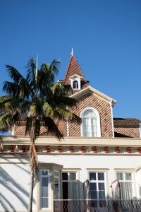 蓬塔德尔加达Casa das Palmeiras Charming House - Azores 1901的前面有棕榈树的建筑