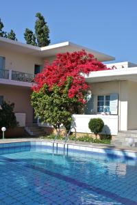 基萨莫斯Cormoranos Apartments Eco Green的游泳池旁的红树房子