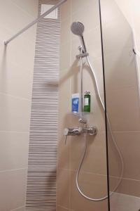 采西斯Mēness Apartamenti的浴室内带麦克风的淋浴