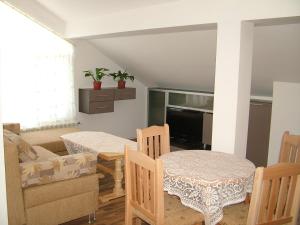 代温Kisiovi Apartment的客厅配有桌椅和电视。