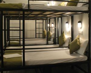 BedHubs客房内的一张或多张双层床