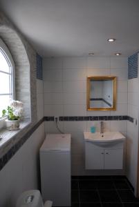 Löderup瓦尔贝加斯拉特酒店的一间带水槽、卫生间和镜子的浴室