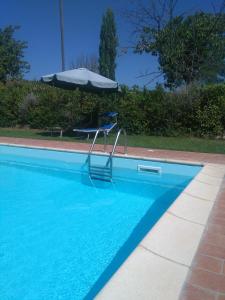 波吉邦西Casa ai Carfini的游泳池里的椅子和遮阳伞