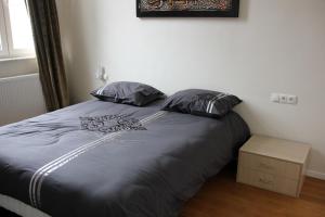 安特卫普阿德肖夫豪华公寓的卧室内的一张带两个枕头的床