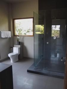 罗威那居布鲁别墅的一间带玻璃淋浴和卫生间的浴室