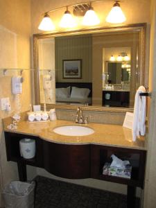 韦纳奇韦纳奇快捷假日酒店的一间带水槽和大镜子的浴室