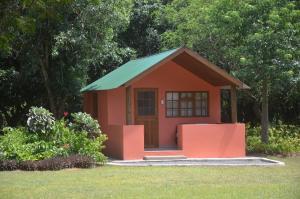 赫卢赫卢韦Bushbaby Lodge & Camping的一座小红色房子,在院子里设有绿色屋顶