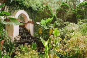 墨西哥城Villas Sol y Luna Coyoacan的一座拥有石头喷泉和植物的花园