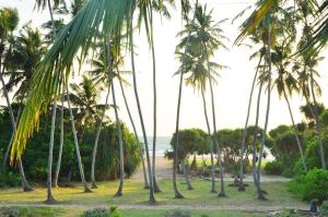 本托塔海景酒店的海滩上的一棵棕榈树