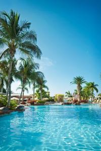 阿德耶尼瓦利亚花园酒店的海滩上种有棕榈树的游泳池