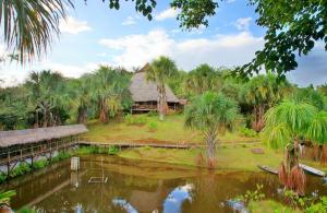 NautaPacaya Samiria Amazon Lodge - ALL INCLUSIVE的相册照片