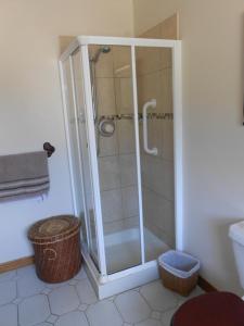 拉斯德拉姆比尔骐达勒楼住宿加早餐酒店的浴室里设有玻璃门淋浴