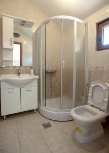 DanilovgradApartman的带淋浴、卫生间和盥洗盆的浴室