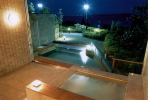 冰见市永芳阁酒店的享有游泳池的夜间景致