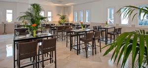 塔里法塔里法旅馆的用餐室配有桌椅和植物
