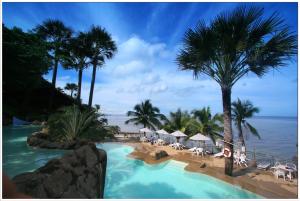 马比尼鹰角海滩潜水度假酒店的拥有游泳池、棕榈树和海洋的度假酒店
