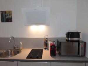 阿让Loft Zen SPA Balneo Parking Sauna Hammam Billard的厨房柜台设有水槽和微波炉
