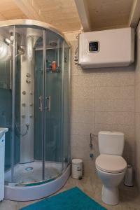 ZnamirowiceZnamirówka的带淋浴和卫生间的浴室