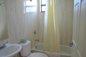 迈阿密卡尔之父汽车旅馆的一间带水槽、卫生间和淋浴的浴室