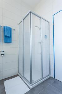 AllhamingTurmöl Hotel的浴室里设有玻璃门淋浴