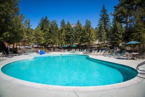 爱德怀Idyllwild Camping Resort Cabin的一个带椅子和树木的大型游泳池