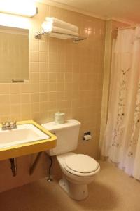 北康威白色特里斯汽车旅馆的一间带卫生间和水槽的浴室