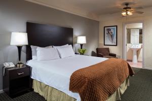 芝加哥威洛斯酒店的酒店客房设有一张大床和一间浴室。
