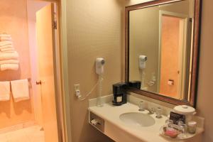 旧金山哥伦布酒店的一间带水槽和镜子的浴室