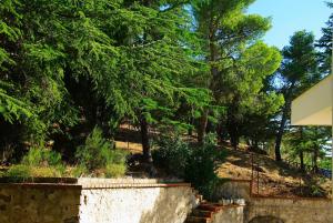 努奥罗La Casa di Boz B&B的山坡上一棵树,有楼梯