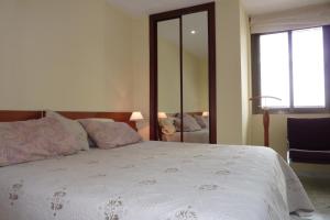 多列毛利诺斯La Nogalera 7的卧室配有一张带镜子的白色大床