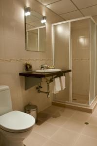 索非亚佐娜酒店4号的浴室配有卫生间、盥洗盆和淋浴。