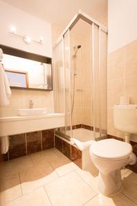 上舍纳祖尔库特斯赫酒店的带淋浴、卫生间和盥洗盆的浴室