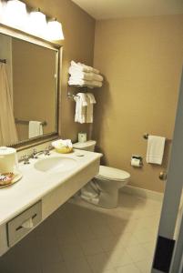 牛谷旅馆及套房酒店的一间浴室