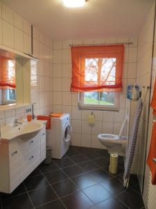 圣斯特凡Ferienwohnungen Bauernhof Schilcher的浴室配有卫生间水槽和洗衣机。