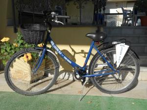 在拉古娜布鲁酒店内部或周边骑自行车