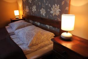 纳文丘夫Domek Na Prowincji的一间卧室配有一张带台灯的床铺,