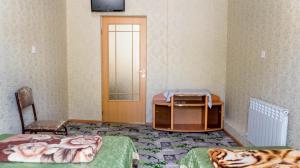 派蒂哥斯卡Квартира на Дзержинского的一间设有两张床和电视的房间