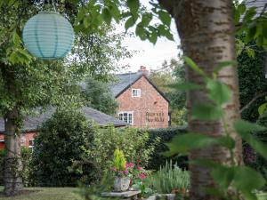 Little Bollington阿希农场乡村旅馆的挂在花园中树上的蓝色灯笼
