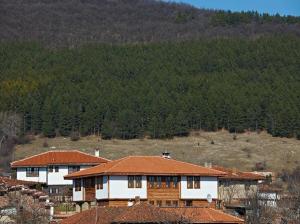 泽拉夫纳House of Bardo的山前有红色屋顶的大房子