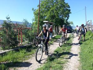GnyazdovoMihaela Lake Retreat的一群人骑着自行车沿着土路走