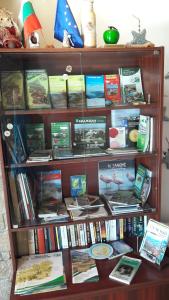 GnyazdovoMihaela Lake Retreat的书架上堆满了书