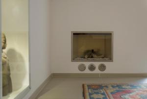 巴里普利亚涅槃公寓的墙上有两盘盘,地毯的房间