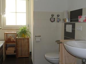 鲁斯特Apartment Frank的一间带水槽和卫生间的浴室以及窗户。