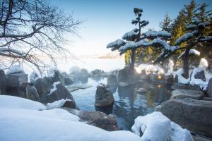 阿寒湖畔阿寒遊久之里鹤雅的一座拥有积雪覆盖的岩石和池塘的动物园