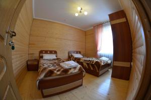 米库利钦Sribni Rosy的小型客房 - 带2张床和窗户
