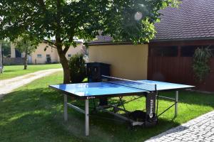 普莱因费尔德民俗乡间旅馆的院子里草地上的乒乓球桌