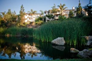 卡尔斯巴德阿维亚拉四季住宅俱乐部酒店的一座有草和建筑背景的池塘