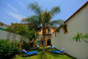 拉纳卡阿尔吉斯提城市酒店的一个带蓝色椅子和棕榈树的院子