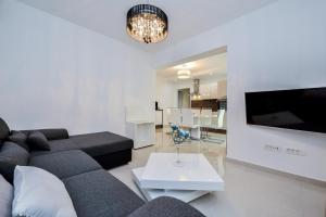 比比涅Luxury Apartment 1 Villa Arta的带沙发和电视的客厅