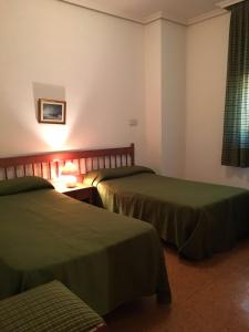 奥索尔诺Hostal Los Chopos的酒店客房设有两张床和窗户。